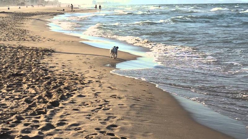Apartamentos Gandia Playa De L'Ahuir 3000 Екстериор снимка